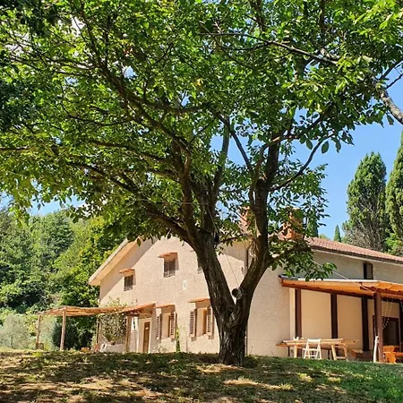 Stirpe Nel Bosco - Appartamento Fiocco Montevettolini Exterior foto