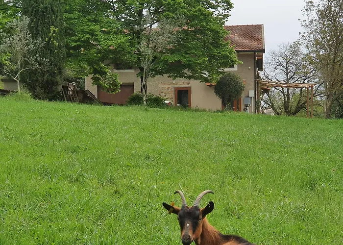 Stirpe Nel Bosco - Appartamento Fiocco