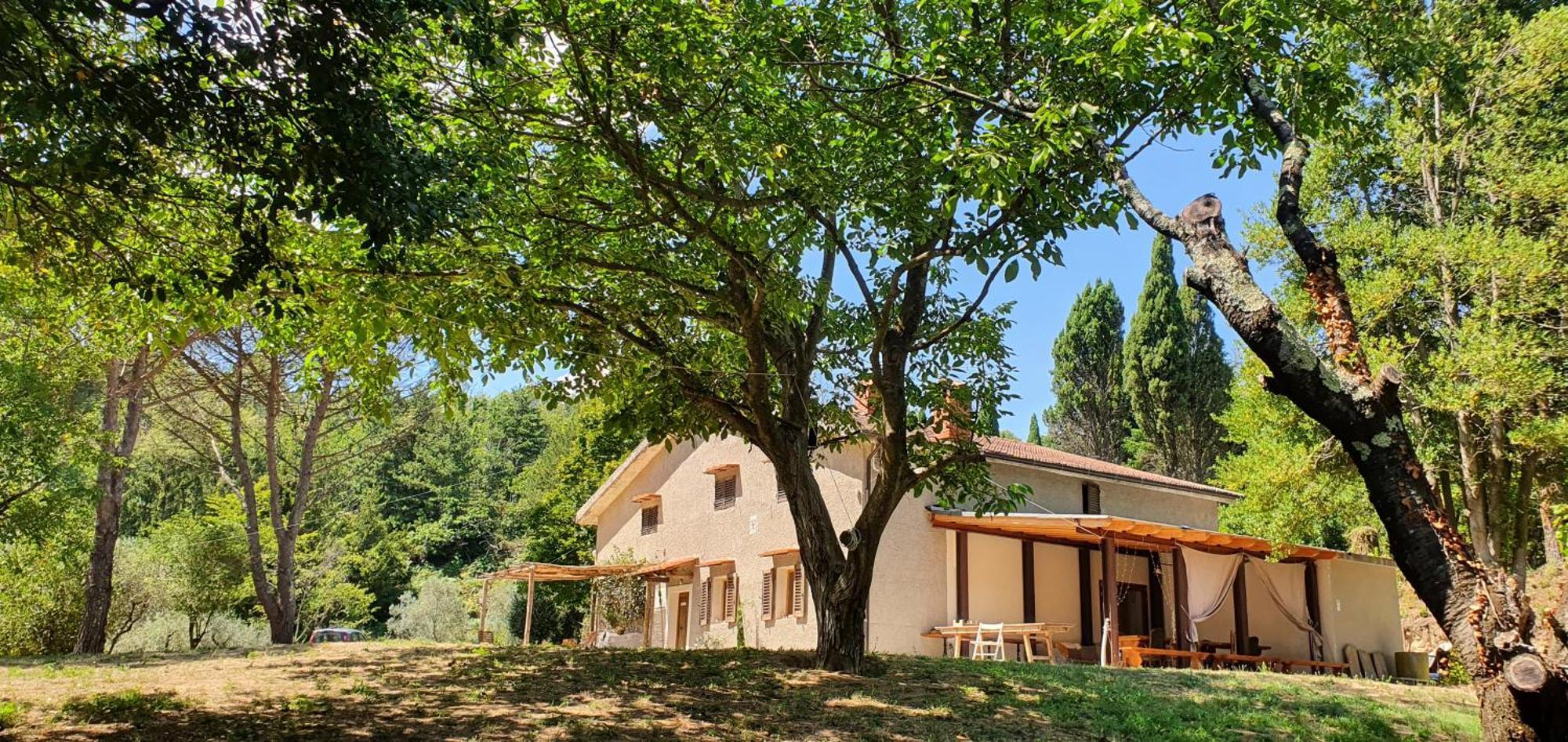 Stirpe Nel Bosco - Fiocco